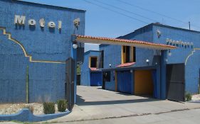 Motel Flamingos